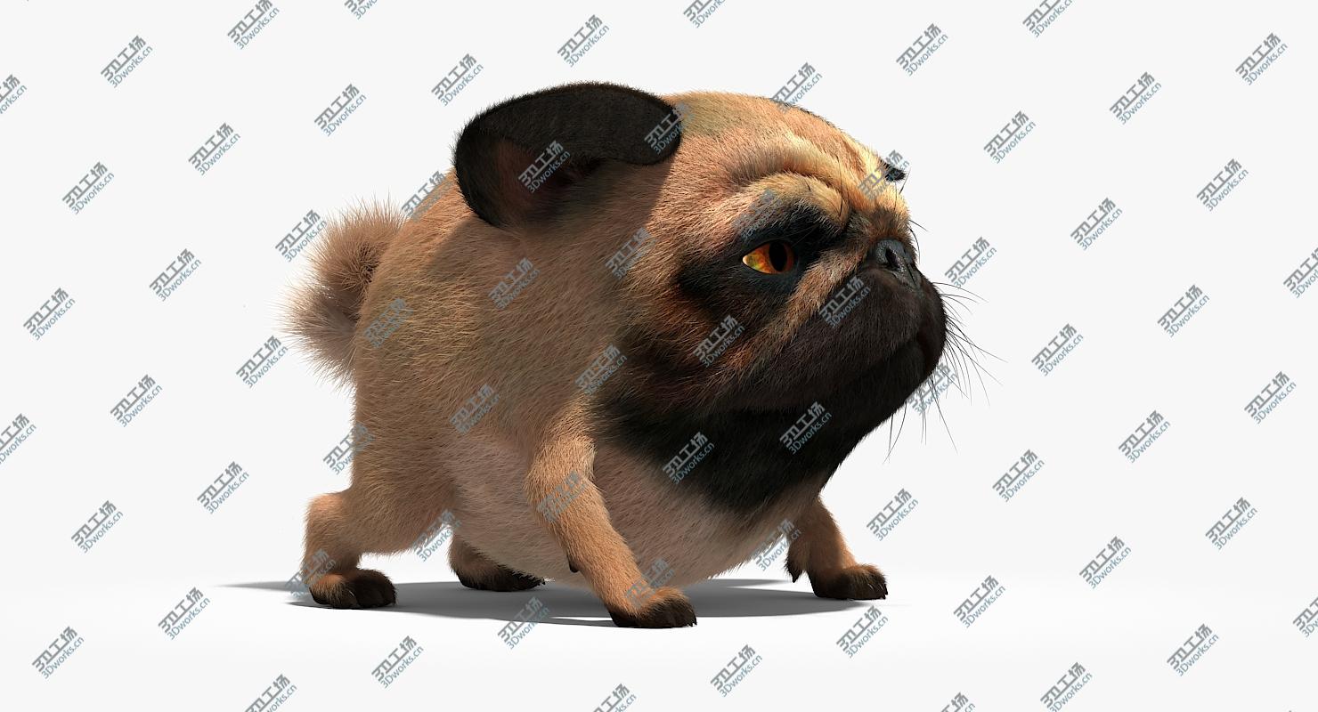images/goods_img/202104023/Pug (Rigged) 3D model/3.jpg